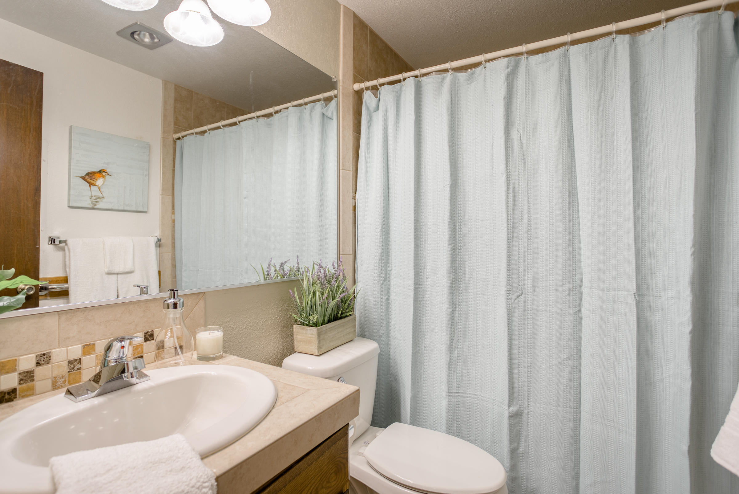 Hall Bathroom