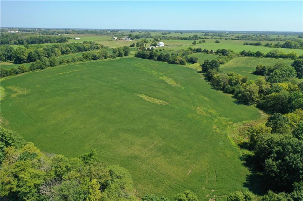 Inlet Road Purdin, MO 64674 - Photo 9 of 10 Gallery Image 9