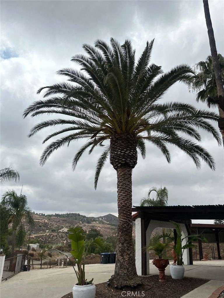 20515 Bushton Place Perris, CA 92570 - Photo 2 of 19