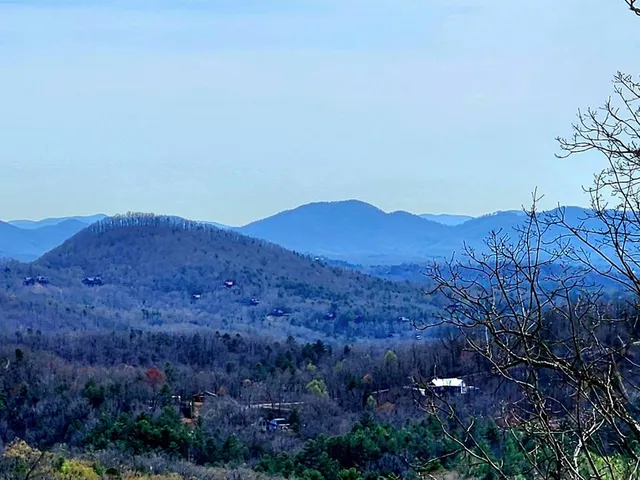 a view of a dry yard
