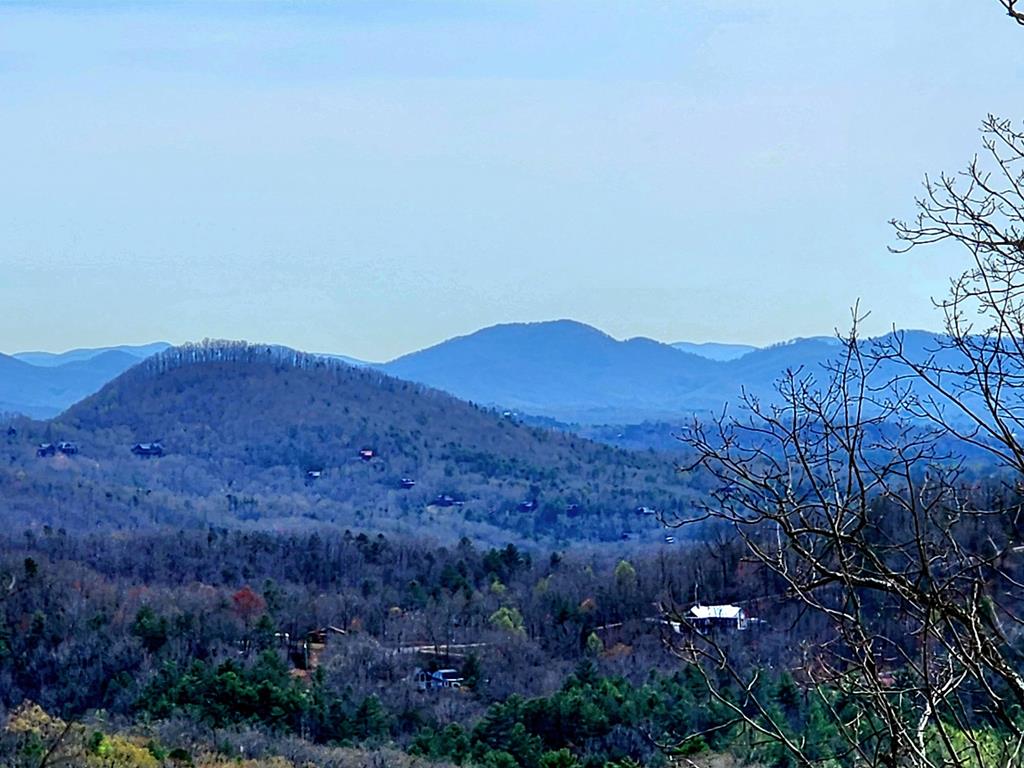 a view of a dry yard