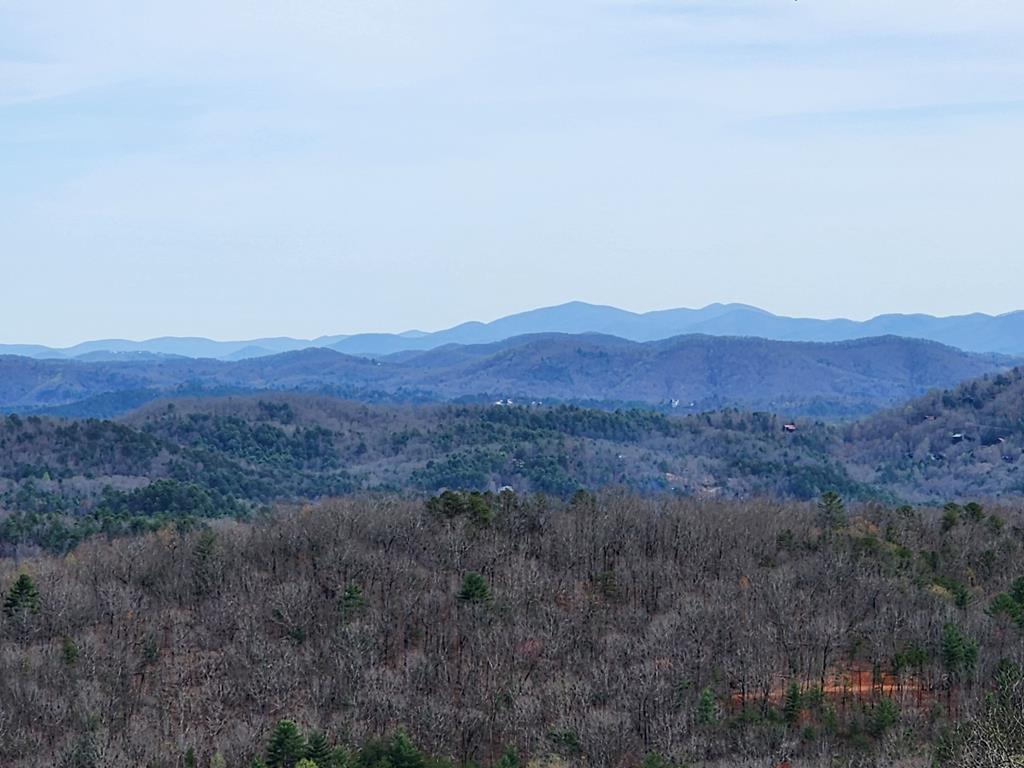 L46 Warbler Road Murphy, NC 28906 - Photo 3 of 10