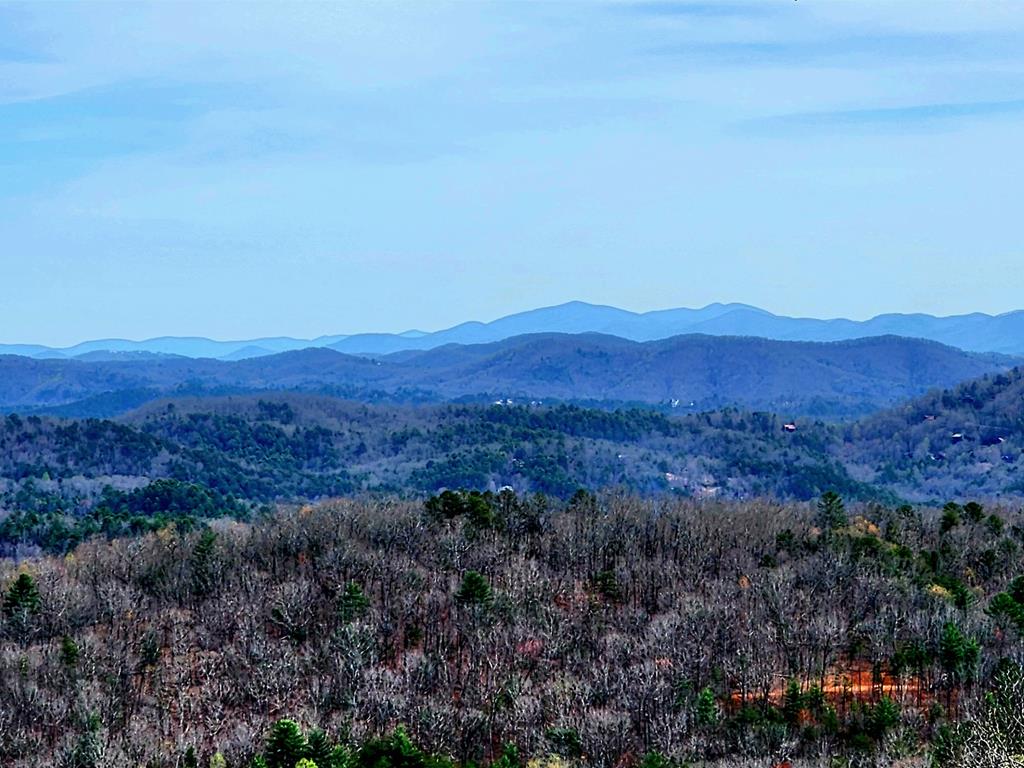 L46 Warbler Road Murphy, NC 28906 - Photo 4 of 10