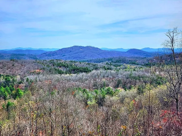 a view of a backyard of the house