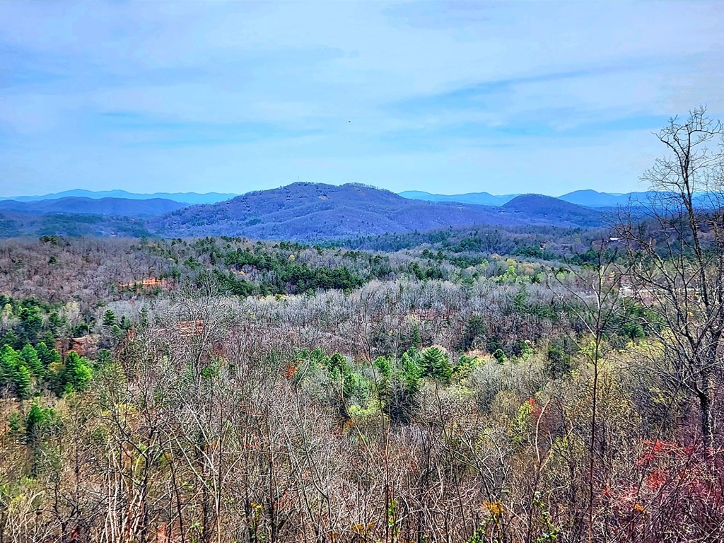 L46 Warbler Road Murphy, NC 28906 - Photo 5 of 10