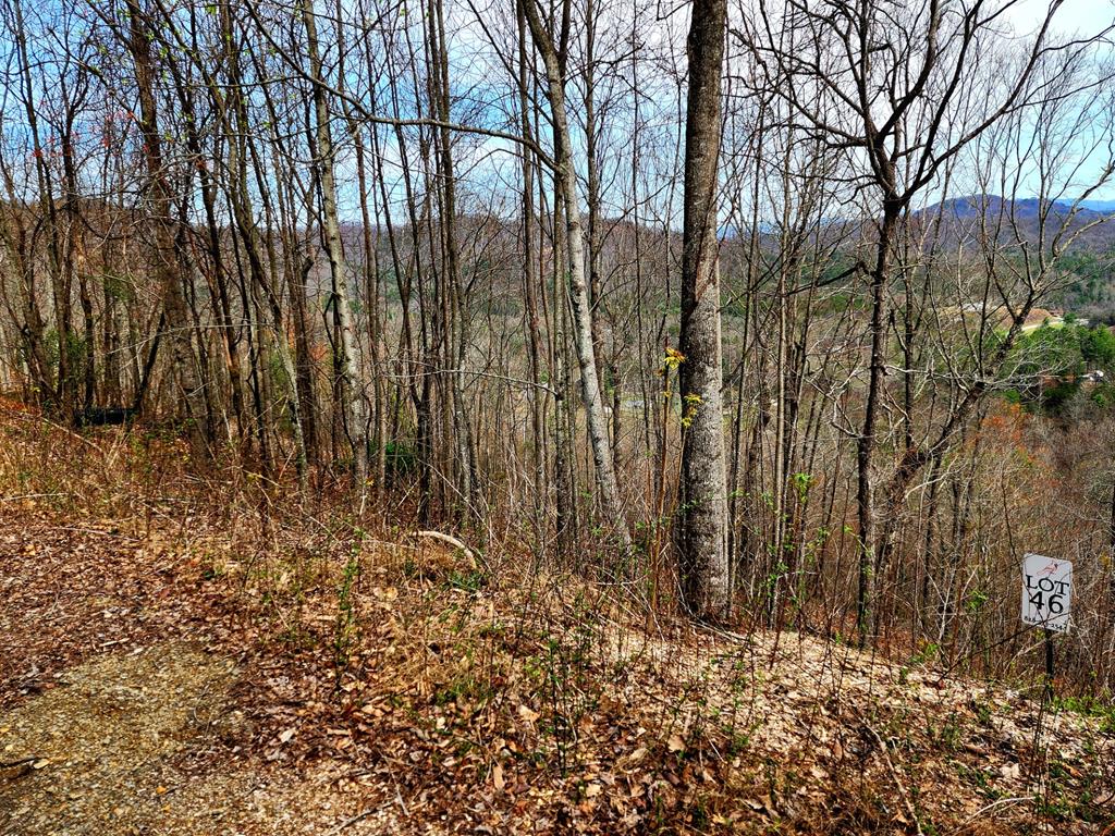 L46 Warbler Road Murphy, NC 28906 - Photo 6 of 10