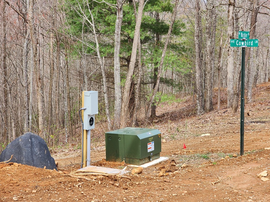 L46 Warbler Road Murphy, NC 28906 - Photo 7 of 10