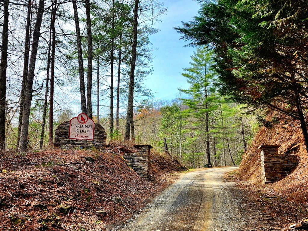 L46 Warbler Road Murphy, NC 28906 - Photo 8 of 10