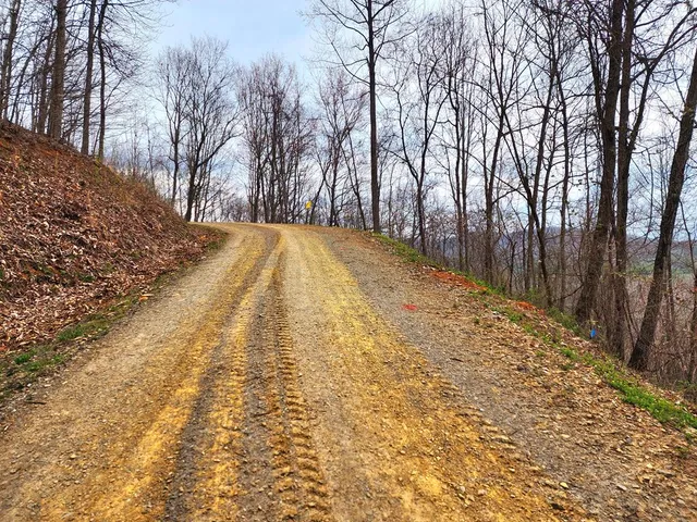 a view of outdoor space with trees