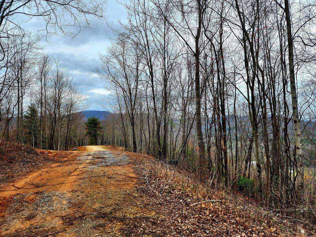 L46 Warbler Road Murphy, NC 28906 - Photo 10 of 10