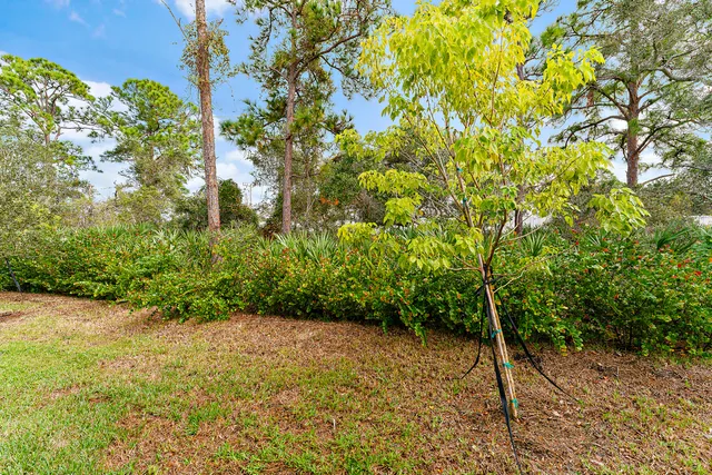an aerial view of residential houses with outdoor space and a swimming pool