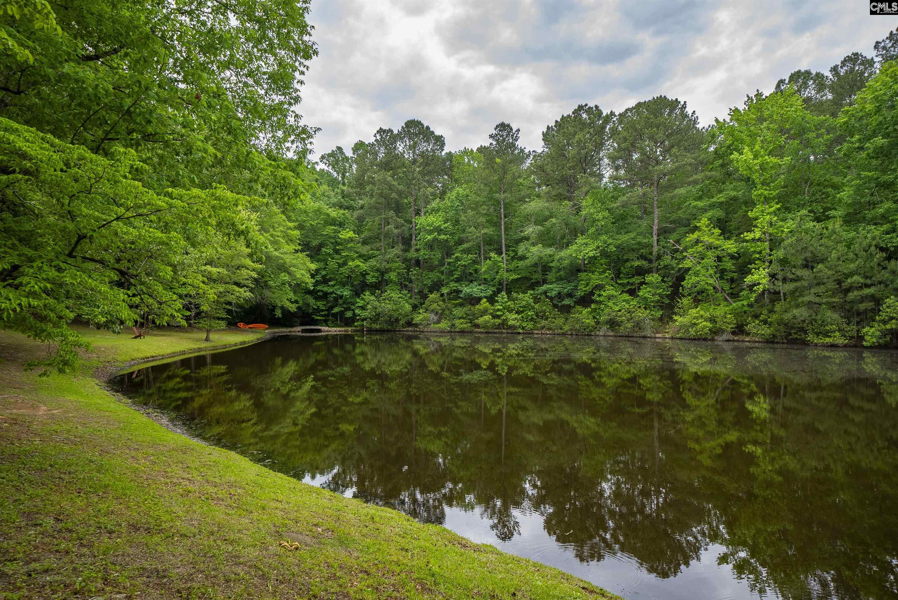 150 Four Foxes Lane Chapin, SC 29036 - Photo 71 of 82