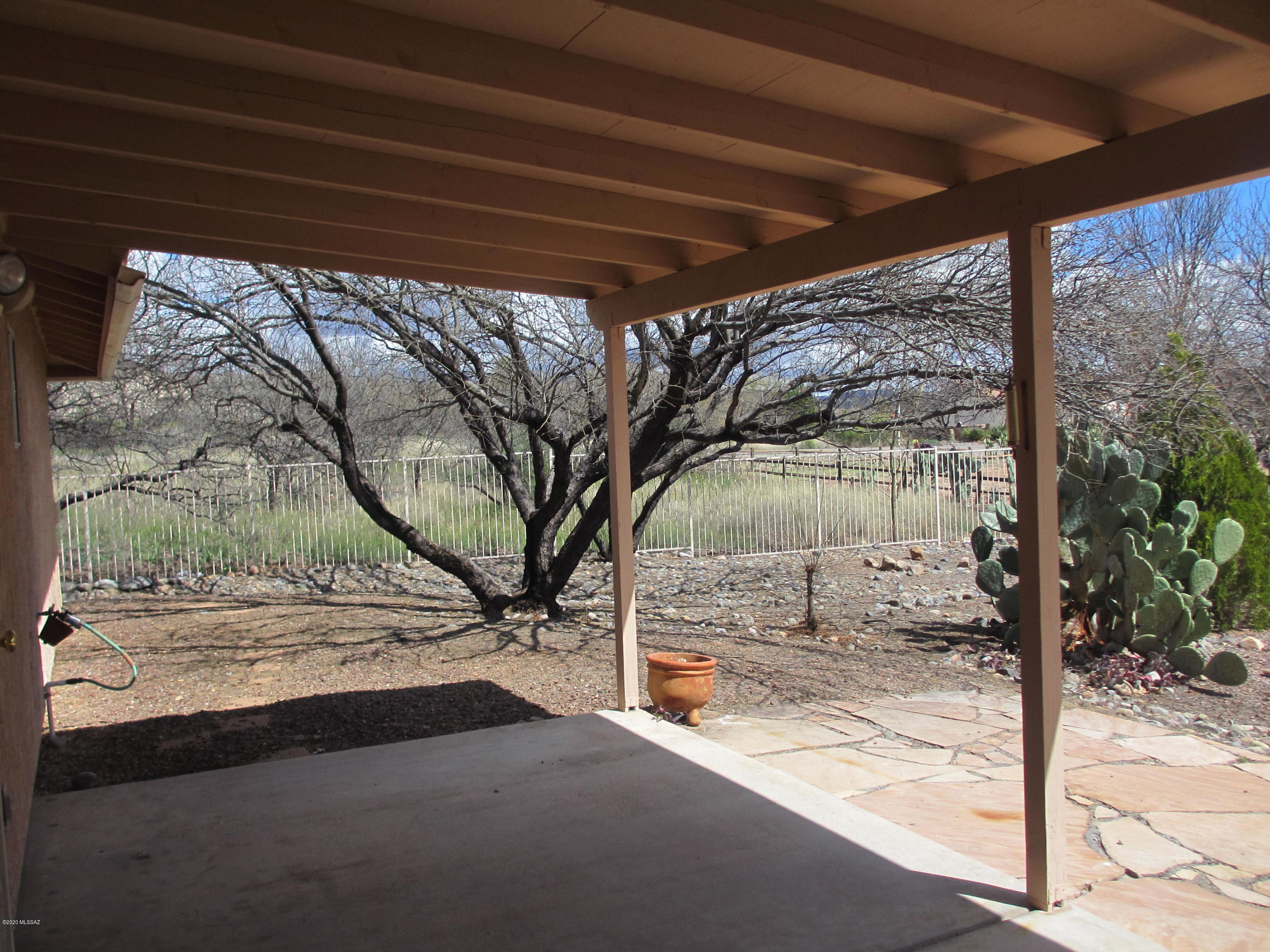 453 Chalet Court Rio Rico, AZ 85648 - Photo 20 of 26 a view of yard with tree in it