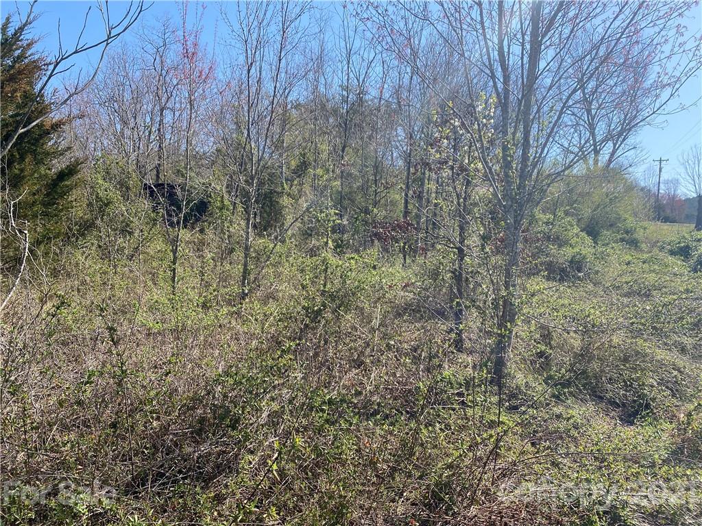 3941 Miller Bridge Road Hickory, NC 28602 - Photo 18 of 45 Gallery Image 18