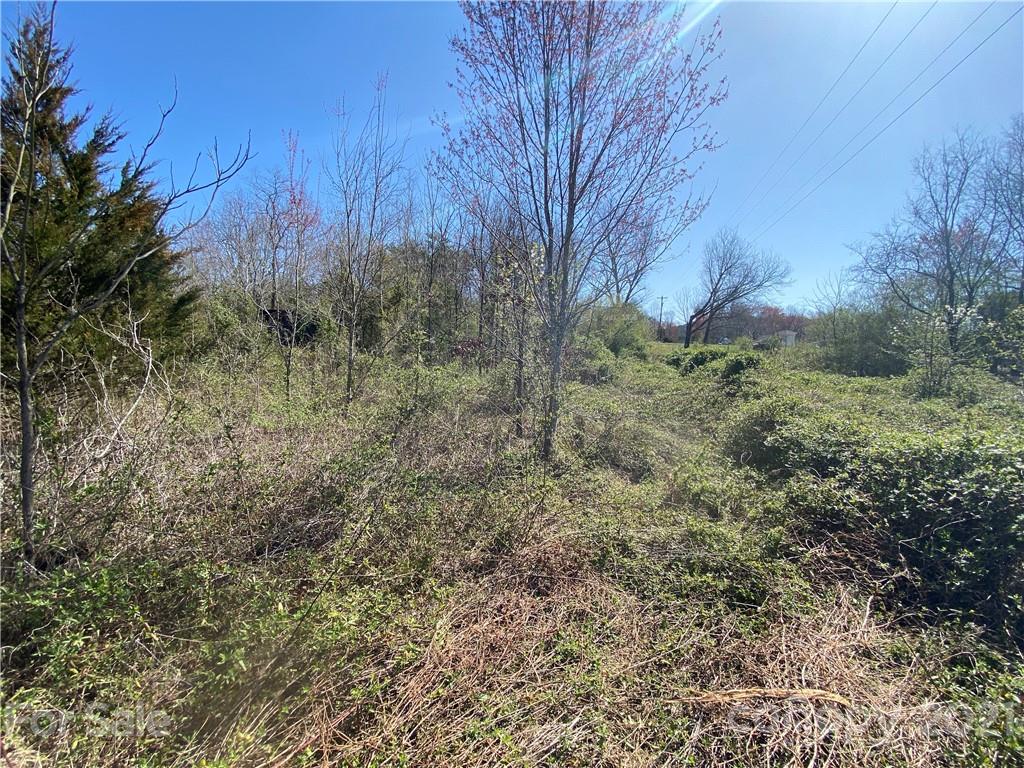 3941 Miller Bridge Road Hickory, NC 28602 - Photo 19 of 45 Gallery Image 19