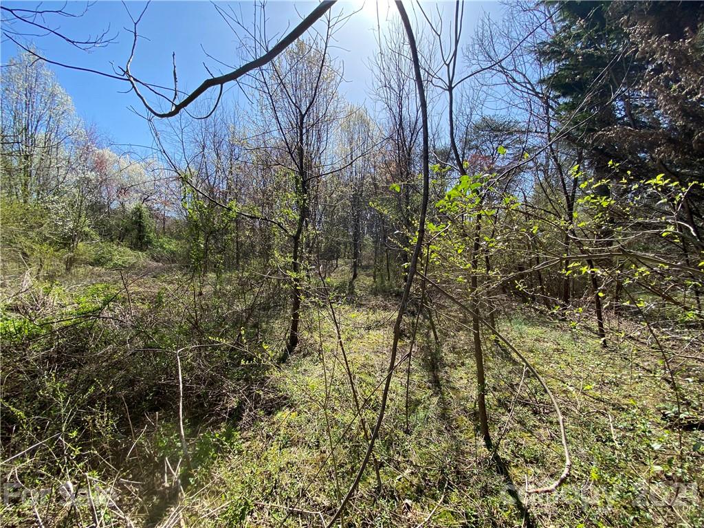 3941 Miller Bridge Road Hickory, NC 28602 - Photo 8 of 45 Gallery Image 8