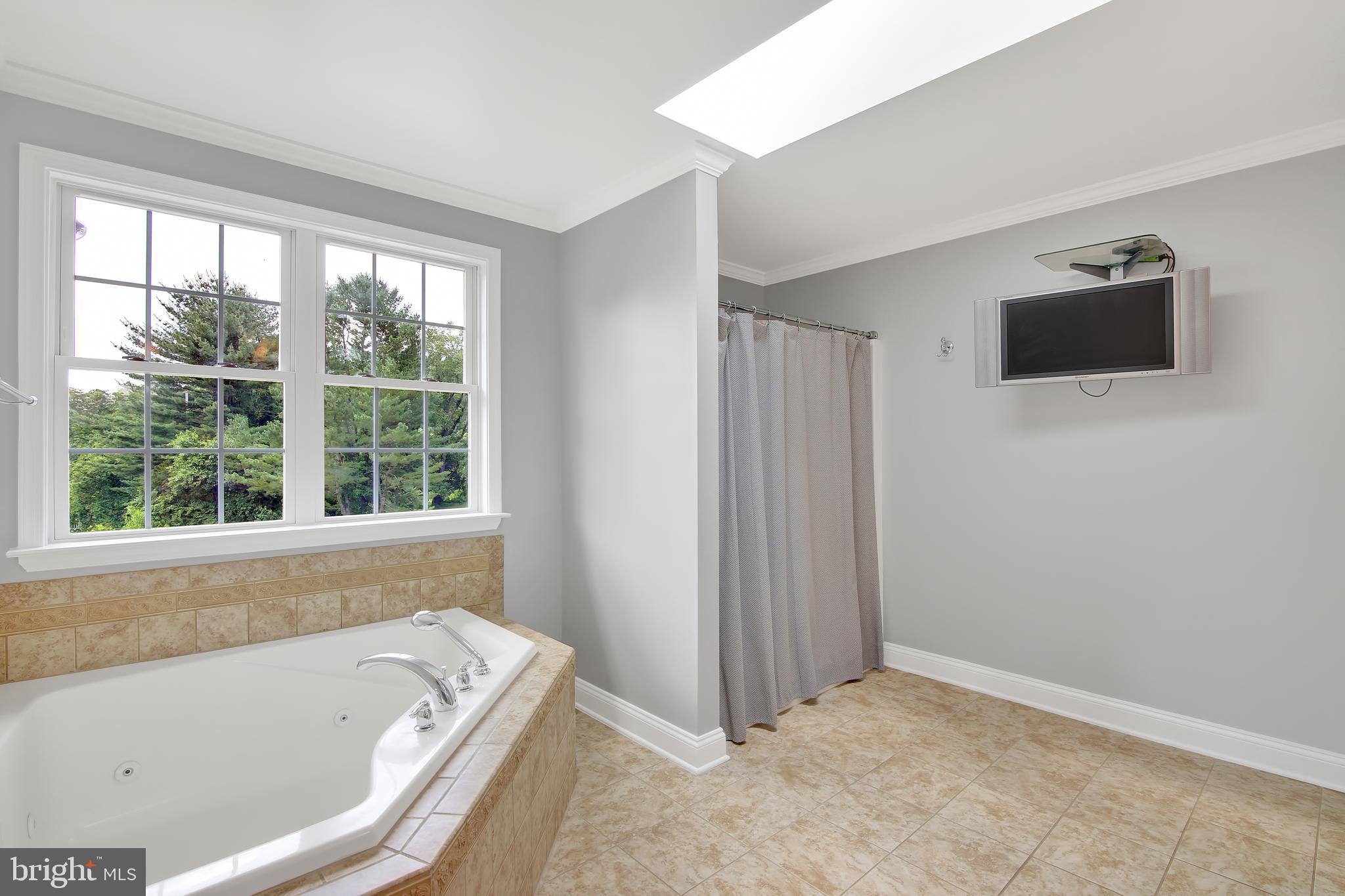 632 Chestnut Hill Road Forest Hill, MD 21050 - Photo 35 of 53 Master Bath