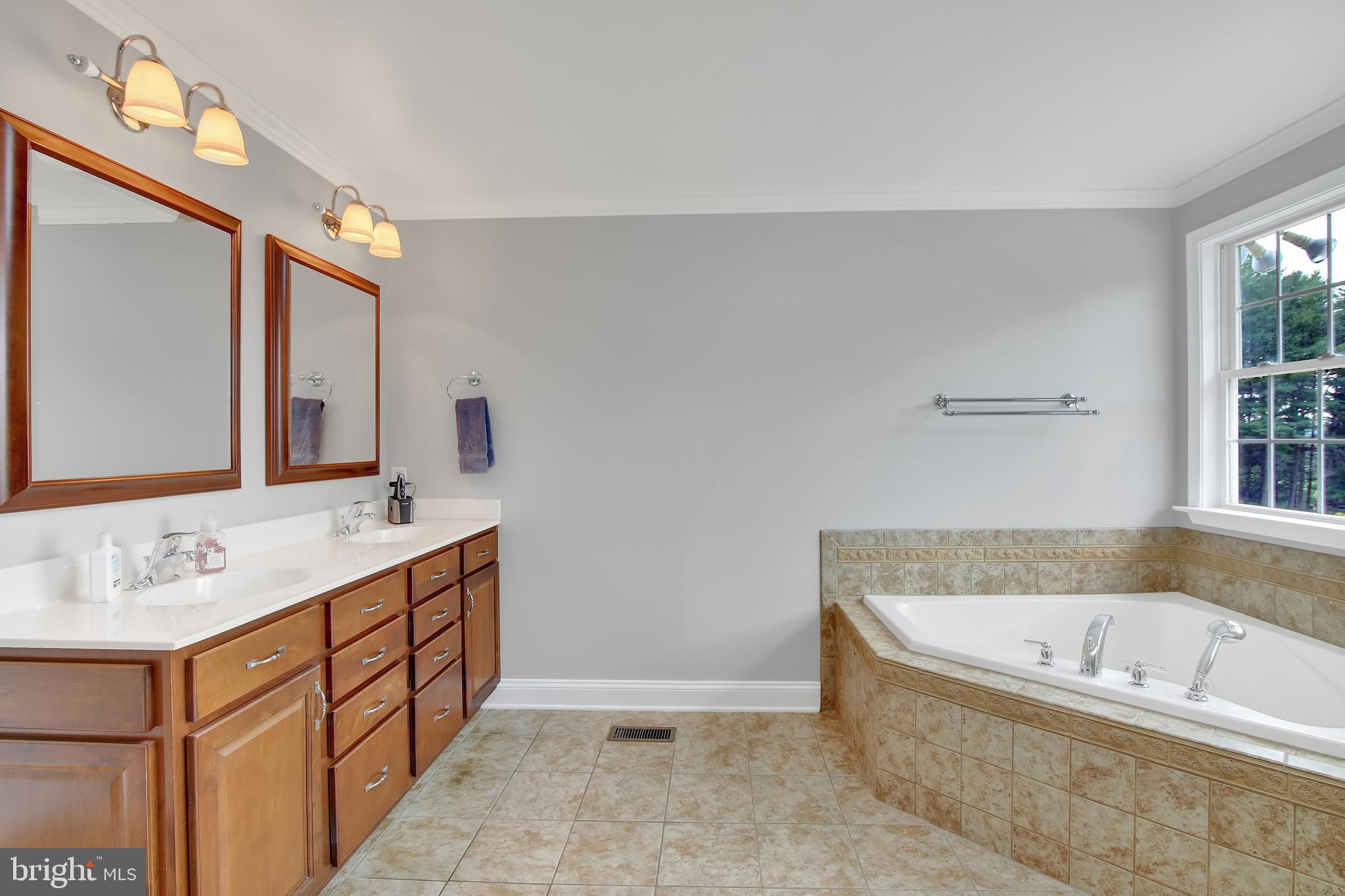 632 Chestnut Hill Road Forest Hill, MD 21050 - Photo 36 of 53 Master Bath