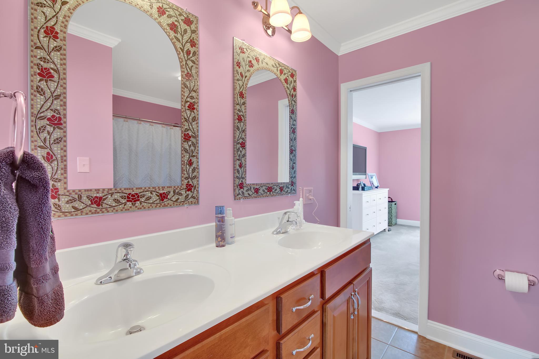 632 Chestnut Hill Road Forest Hill, MD 21050 - Photo 43 of 53 Jack and Jill Bath
