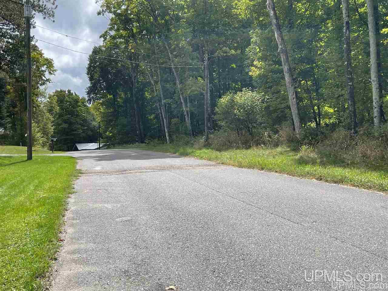 124 Kaski Road Crystal Falls, MI 49920 - Photo 43 of 50 Gallery Image 43