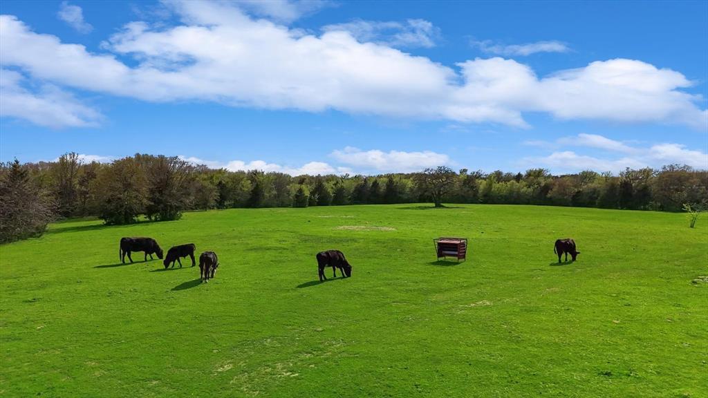 812 McKenzie Road Collinsville, TX 76233 - Photo 32 of 40 a view of a green field with clear sky