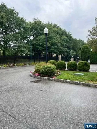 a small garden covered with tall trees