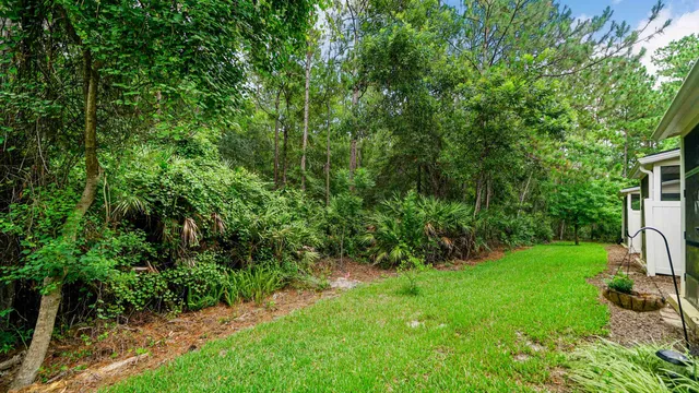 a view of a yard with plants and a large tree