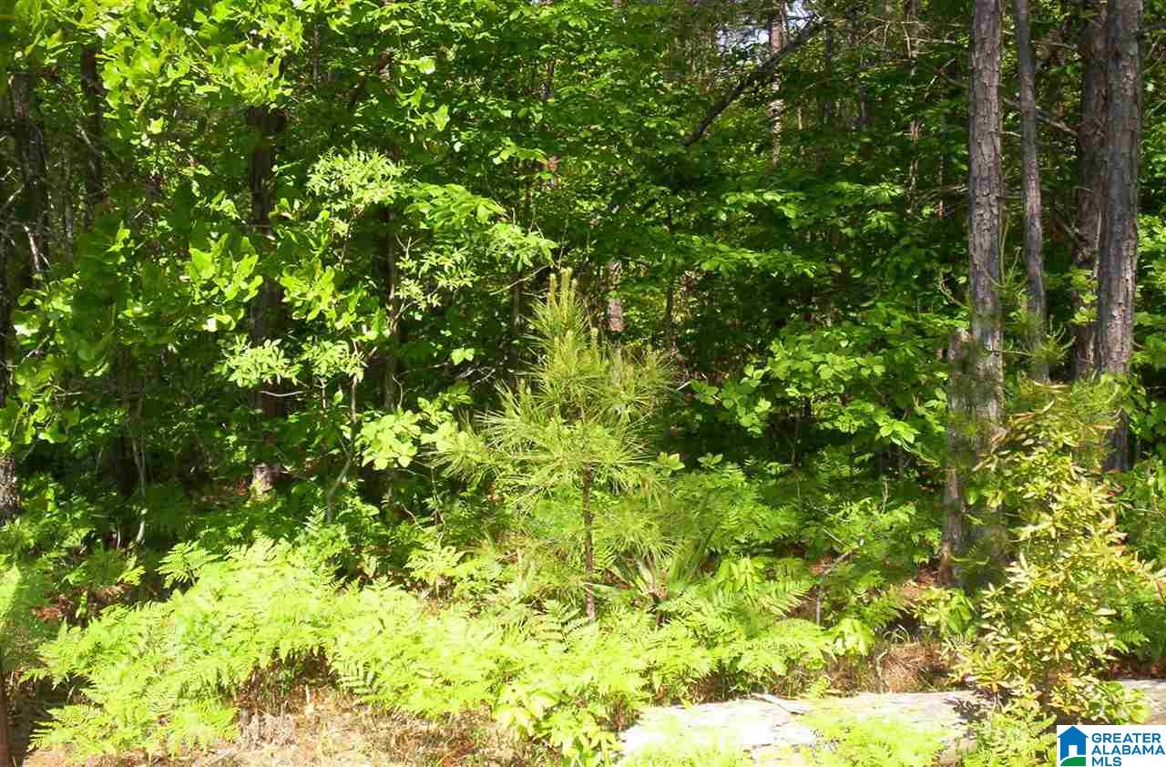 Old Pineywoods Road, Unit 1 6 Jasper, AL 35504 - Photo 3 of 5