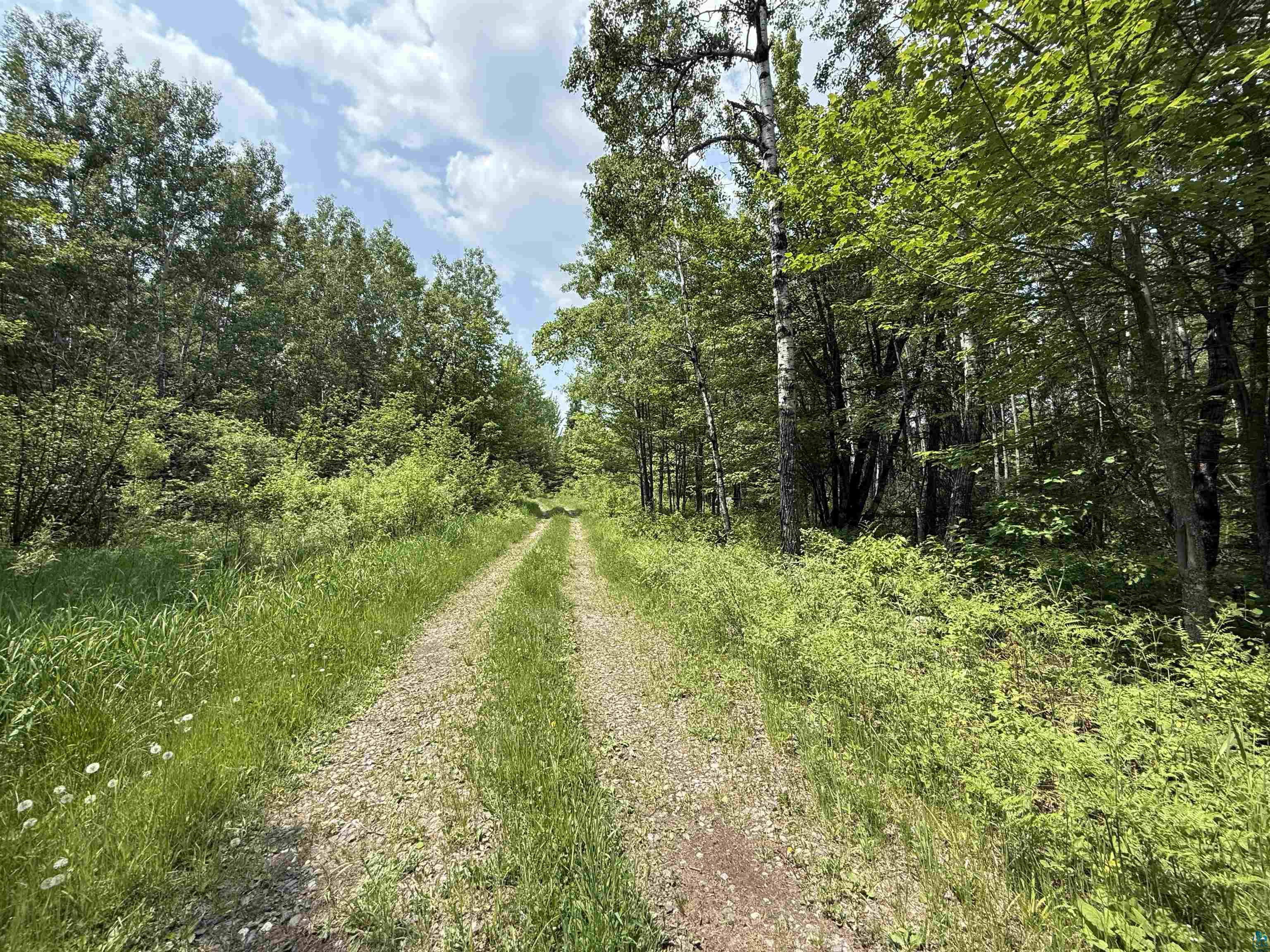 Tbd Samuelson Road Angora, MN 55703 - Photo 3 of 43 View of road featuring a wooded view