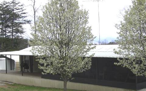 2167 Nottely Dam Road Morganton, GA 30560 - Photo 1 of 1 Main View
