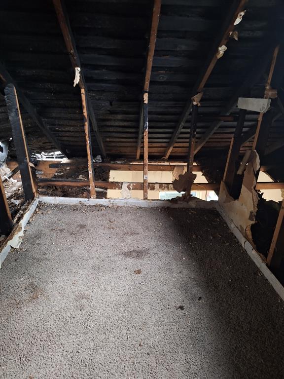 2435 Romine Avenue Dallas, TX 75215 - Photo 15 of 17 View of attic