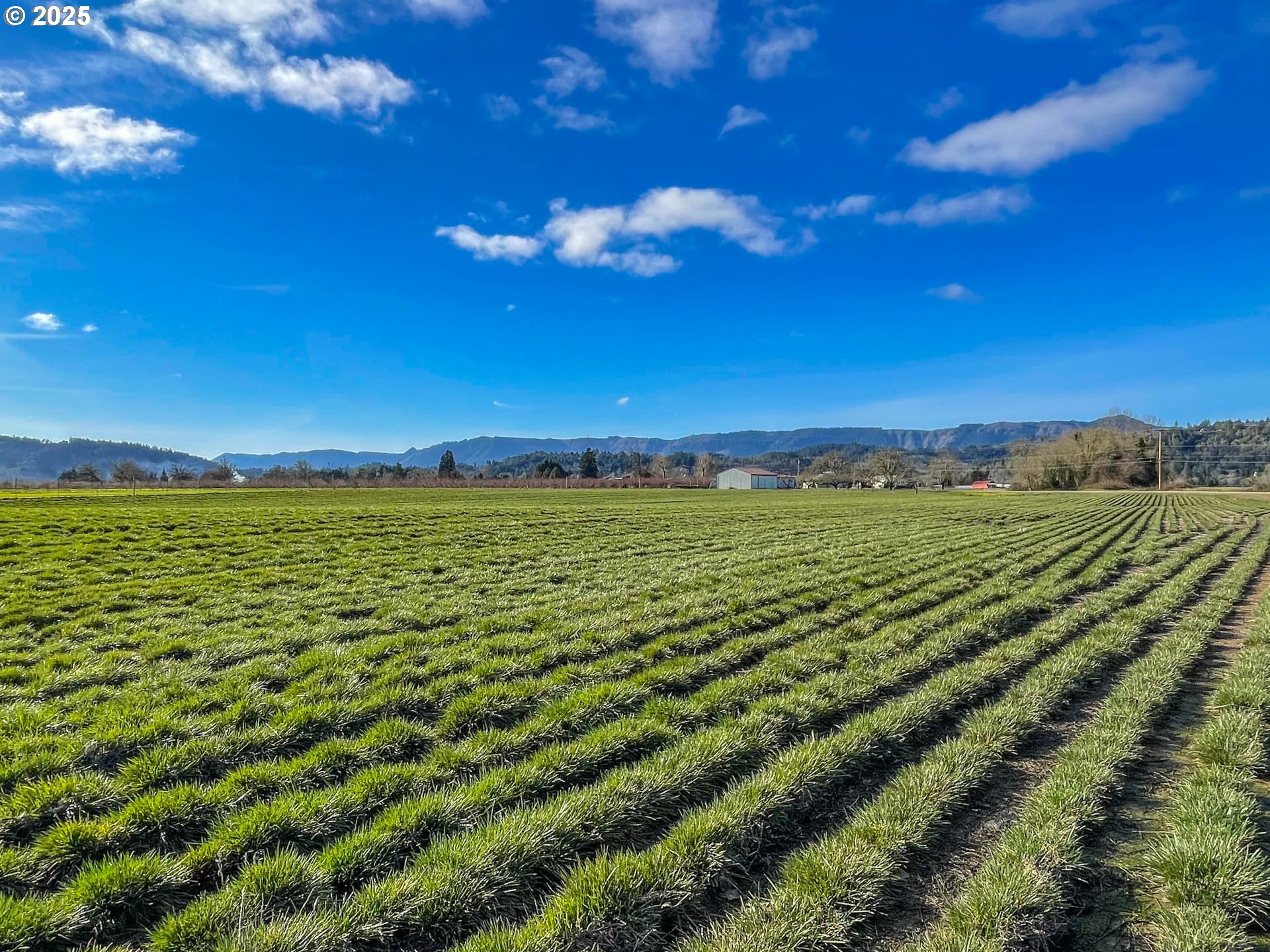 1474 Curry Road Roseburg, OR 97471 - Photo 38 of 48 View