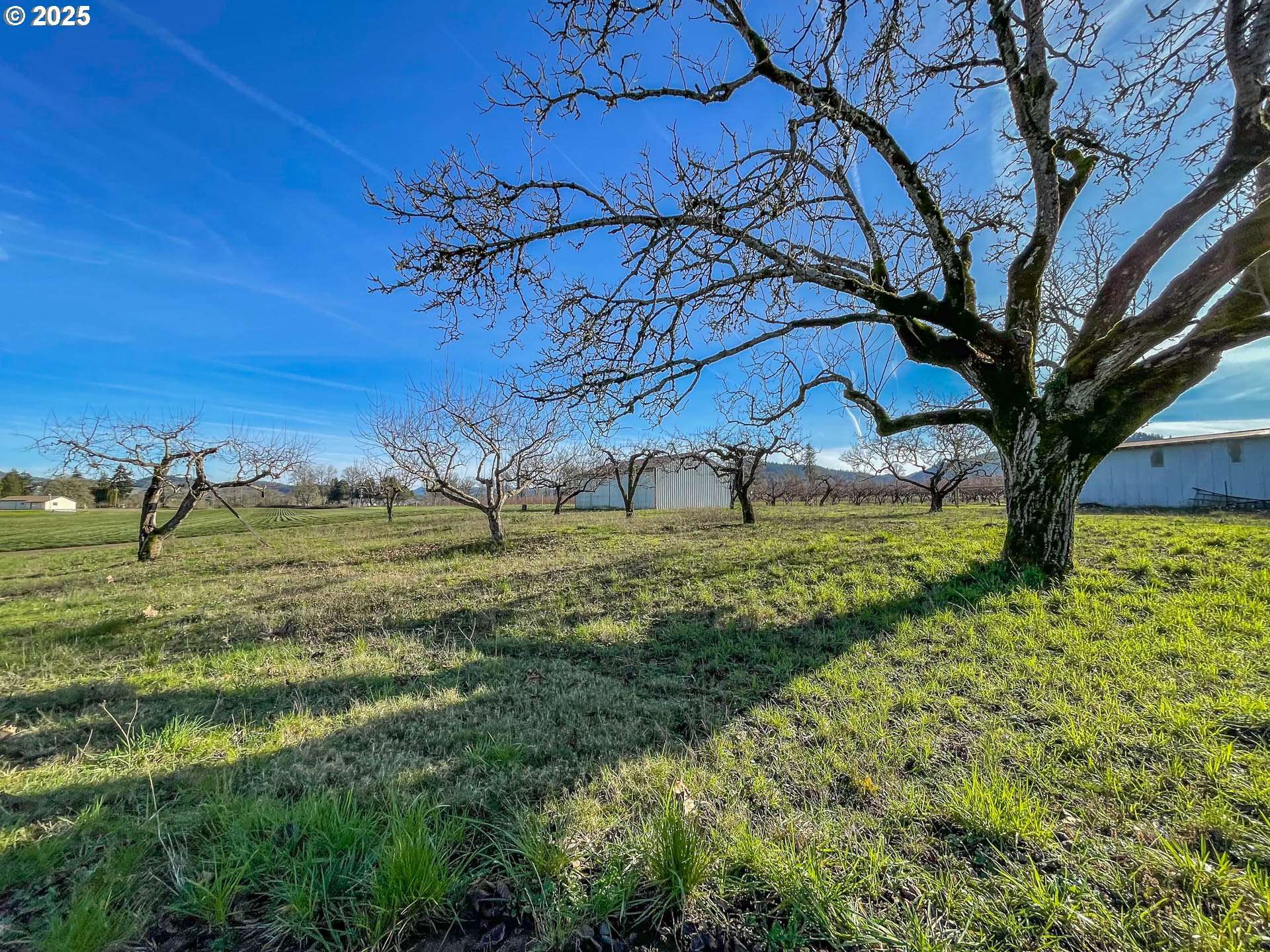 1474 Curry Road Roseburg, OR 97471 - Photo 47 of 48 Acreage