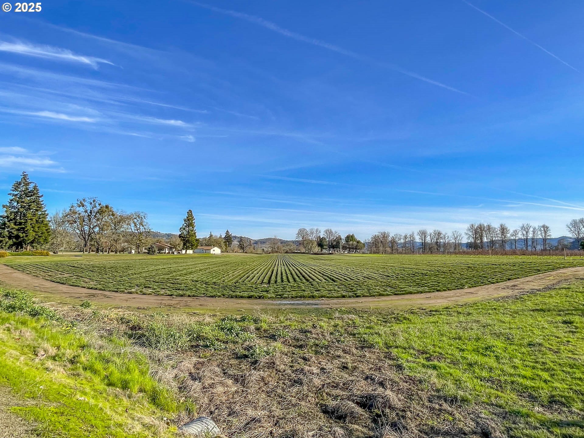 1474 Curry Road Roseburg, OR 97471 - Photo 48 of 48 Acreage