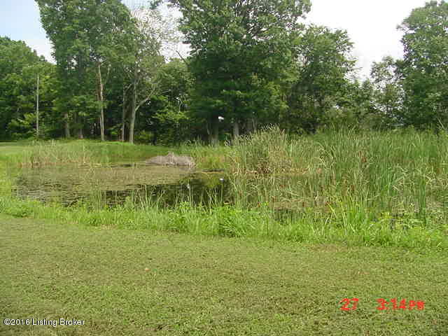 4191 Bray Ridge Road Bedford, KY 40006 - Photo 10 of 30 MVC-022S