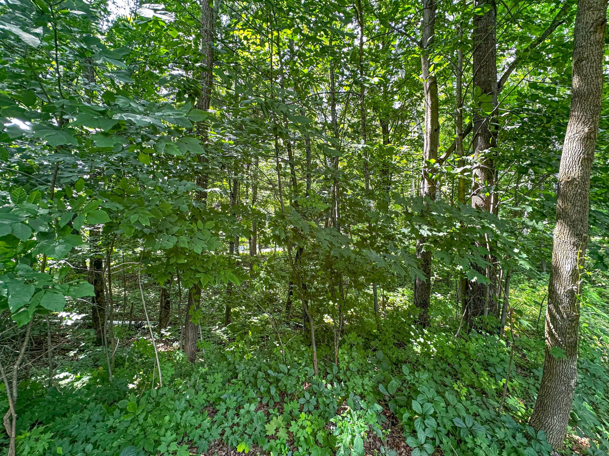 W7675 Cth Road Phillips, WI 54555 - Photo 75 of 99