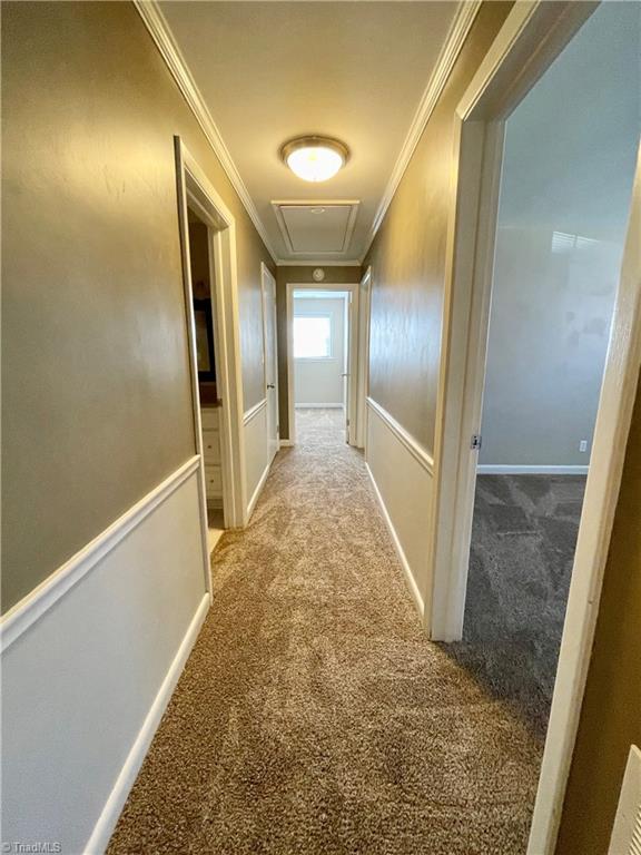 575 Alpine Road Winston-Salem, NC 27104 - Photo 14 of 28 New Carpet in hallway and All Bedrooms