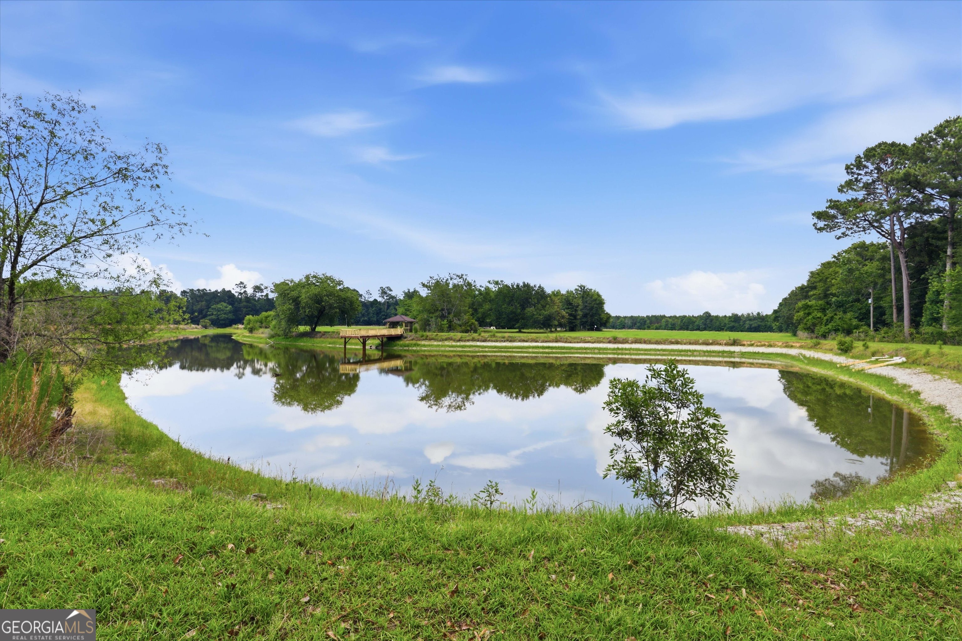 1525 Myron Hart Road Coolidge, GA 31738 - Photo 36 of 58 a view of a lake with houses in the back