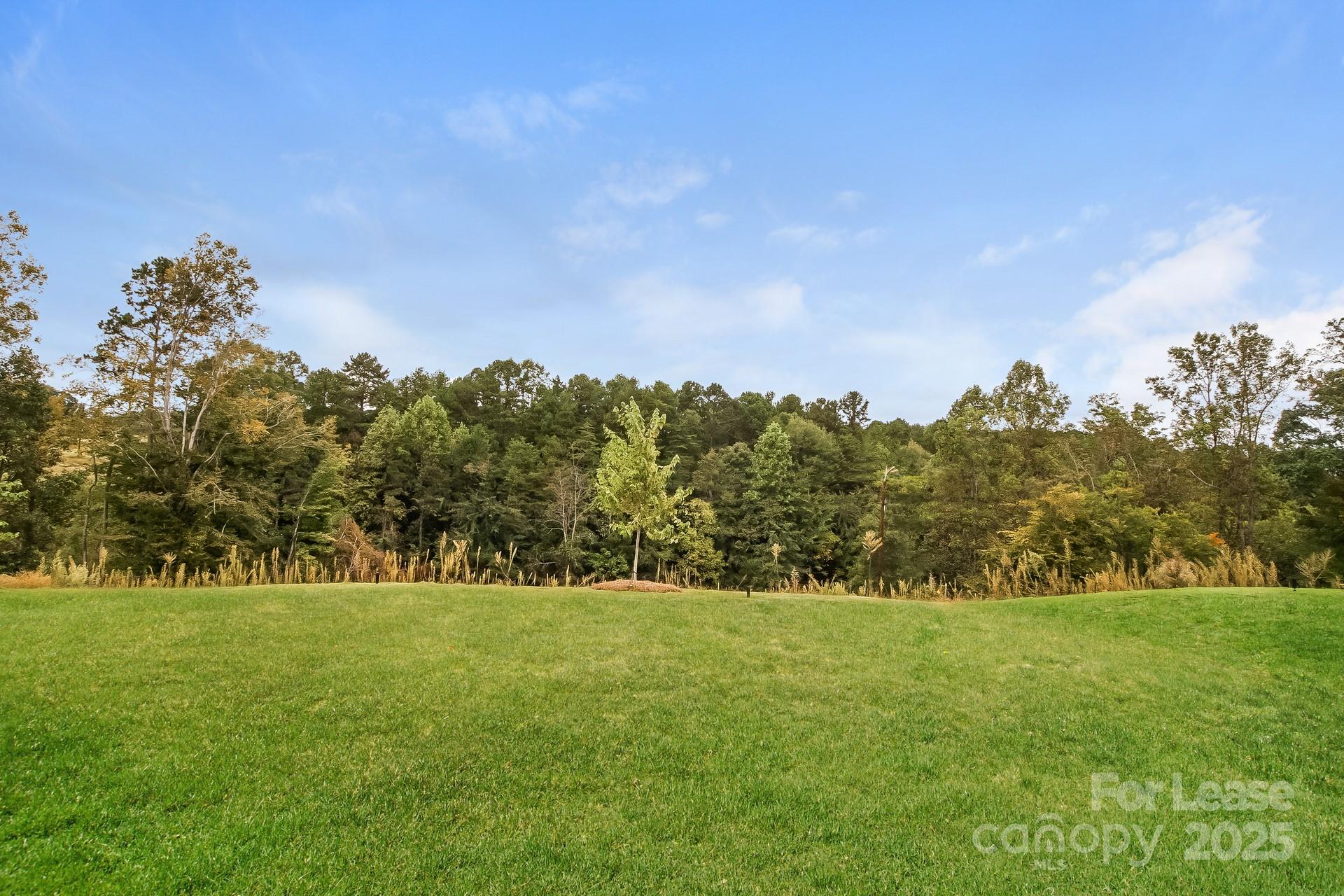 131 Arden Court Troutman, NC 28166 - Photo 23 of 23 a view of yard with green space