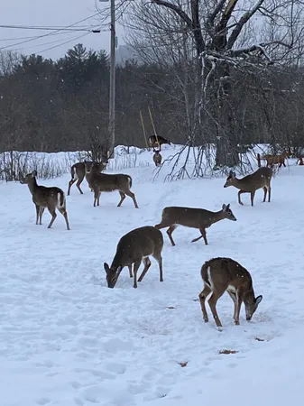 $255,000 | 40 Pine Street, Dixfield, ME 04224