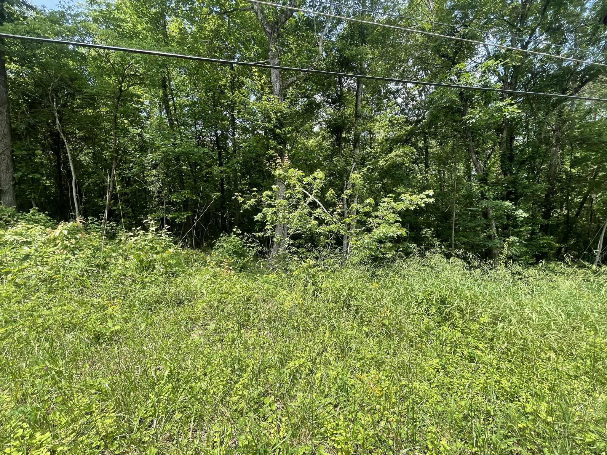 4 Tonja Lane South Soddy-Daisy, TN 37379 - Photo 1 of 5