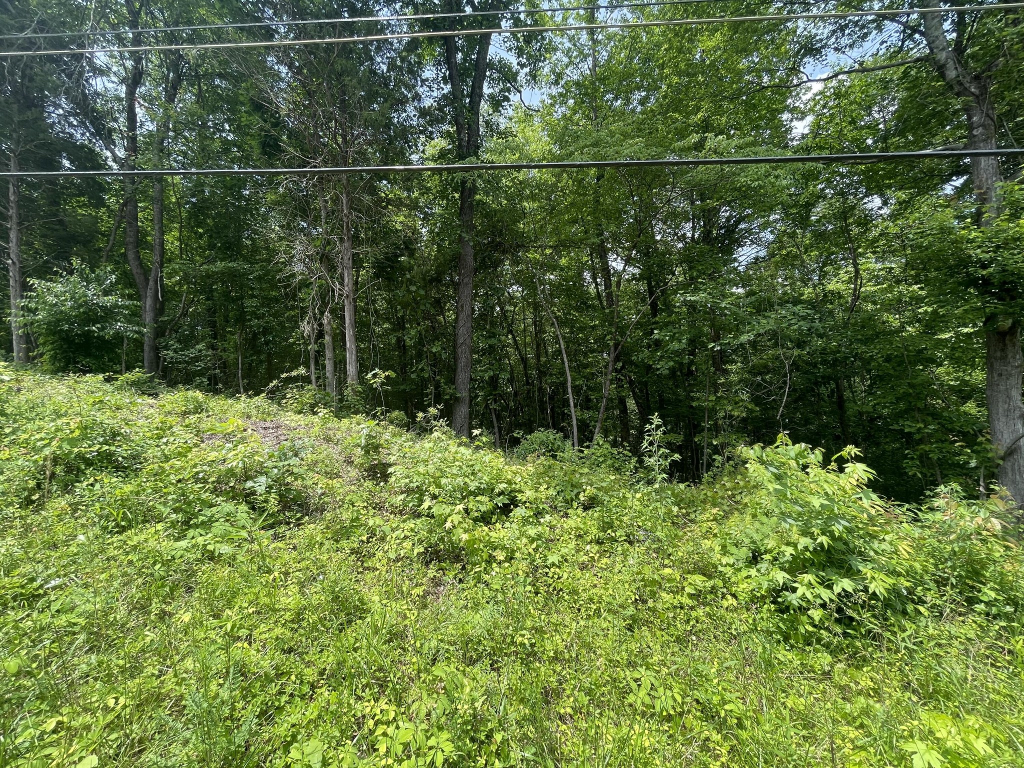 4 Tonja Lane South Soddy-Daisy, TN 37379 - Photo 2 of 5