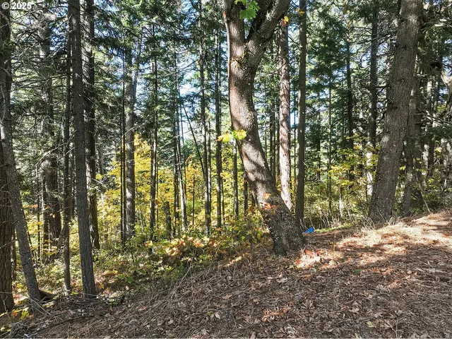 $525,000 | 4600 Summit Drive, Hood River, OR 97031