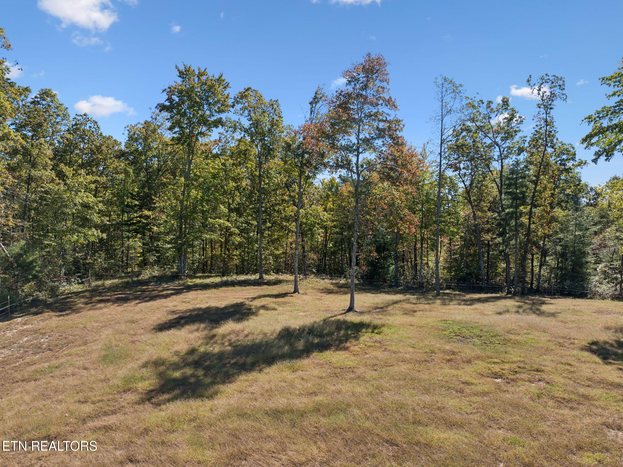 2025 Allardt-Tinch Road Jamestown, TN 38556 - Photo 45 of 59 65-2025 Allardt-Tinch Rd - (65)