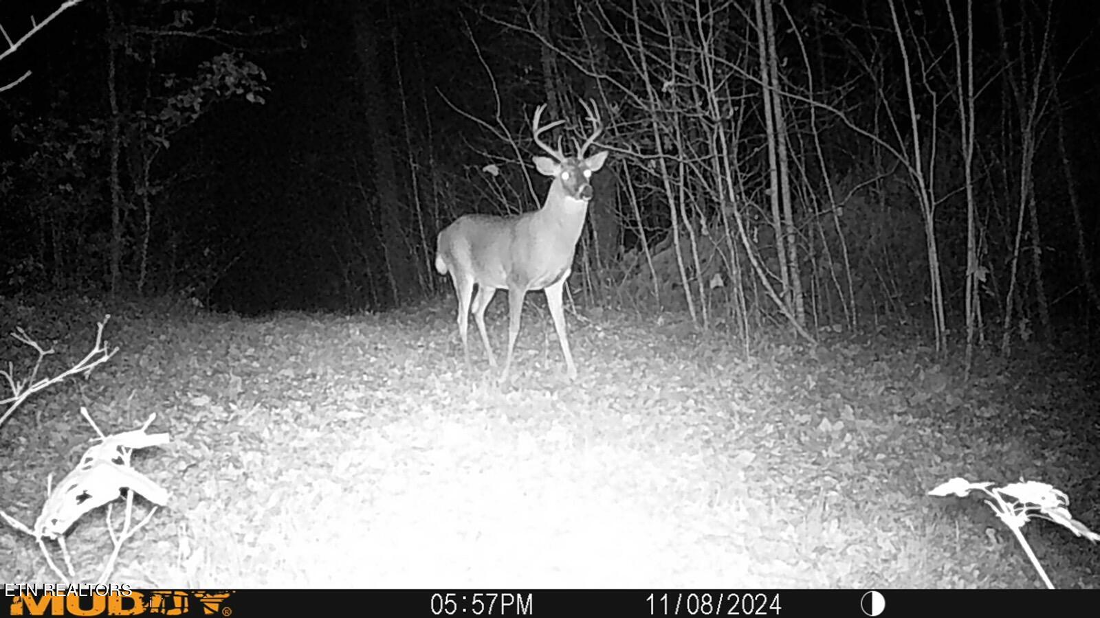 2025 Allardt-Tinch Road Jamestown, TN 38556 - Photo 50 of 59 MUD_0129