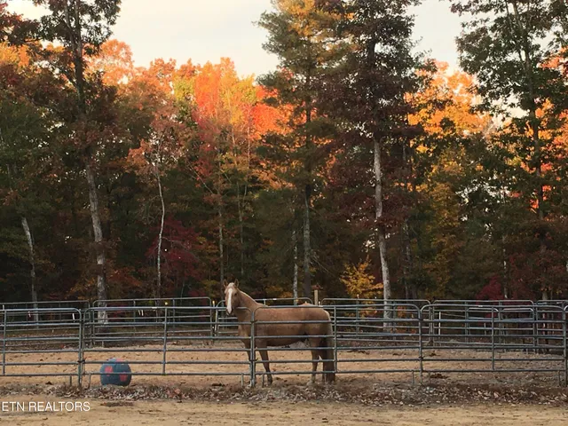 $790,000 | 2025 Allardt-Tinch Road, Jamestown, TN 38556