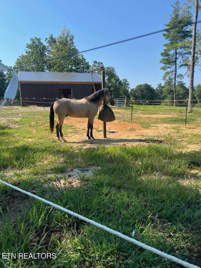 2025 Allardt-Tinch Road Jamestown, TN 38556 - Photo 58 of 59 IMG_4090