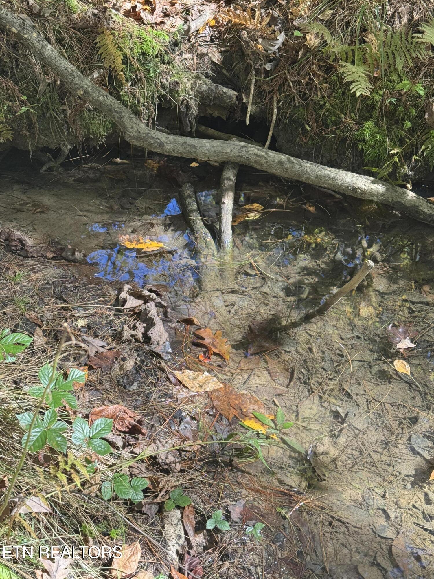 2025 Allardt-Tinch Road Jamestown, TN 38556 - Photo 59 of 59 IMG_9022