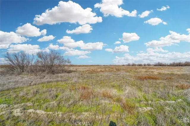 a view of a lake and trees in the background
