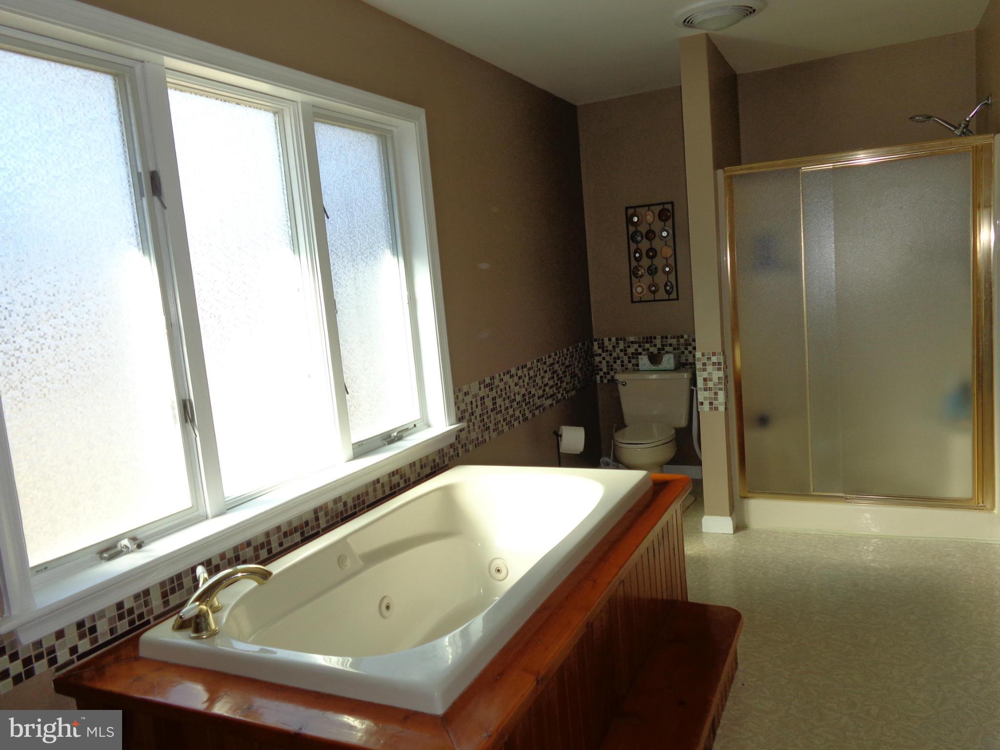 25310 Adams Landing Road Denton, MD 21629 - Photo 7 of 30 Bath (Master)